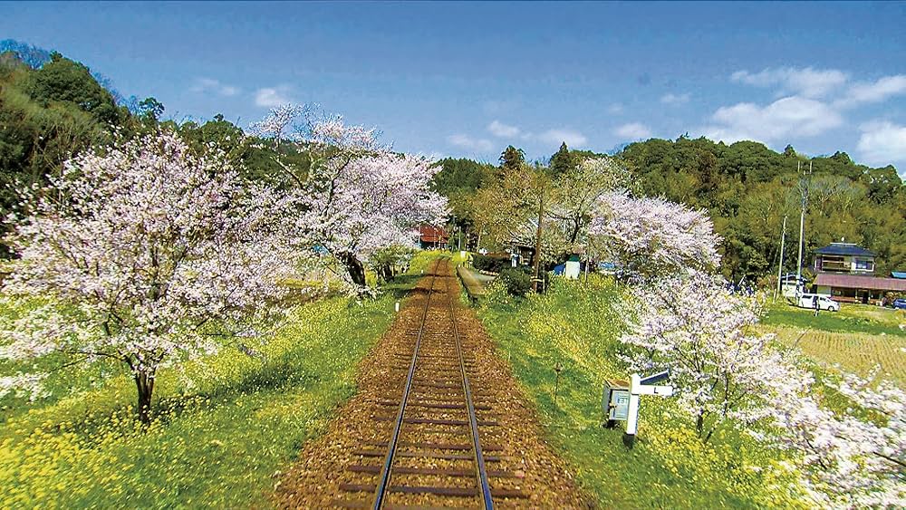 (未使用･未開封品)　春の小湊鉄道 全線往復  df5ndr3 Amazon.co.jp: 春の小湊鉄道 全線往復 【Blu-ray Disc